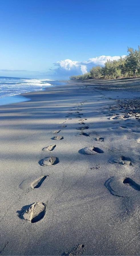 Апартаменты Location Saisonniere Meublee F2 St Leu Face Ocean A 1 Min Plage Сен-Лё Экстерьер фото